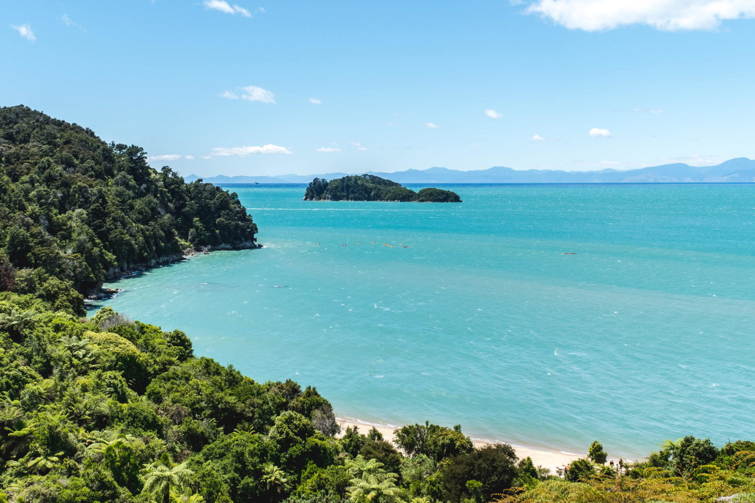 Türkisfarbenes Wasser und Strand im Abel Tasman Nationalpark