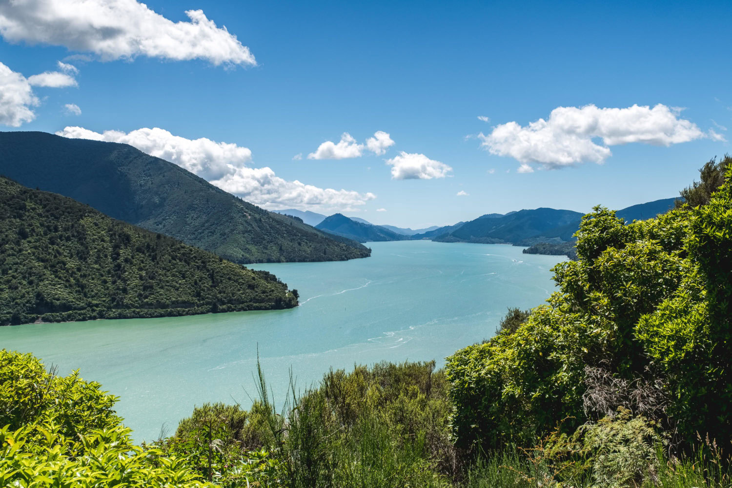 Marlborough Sounds