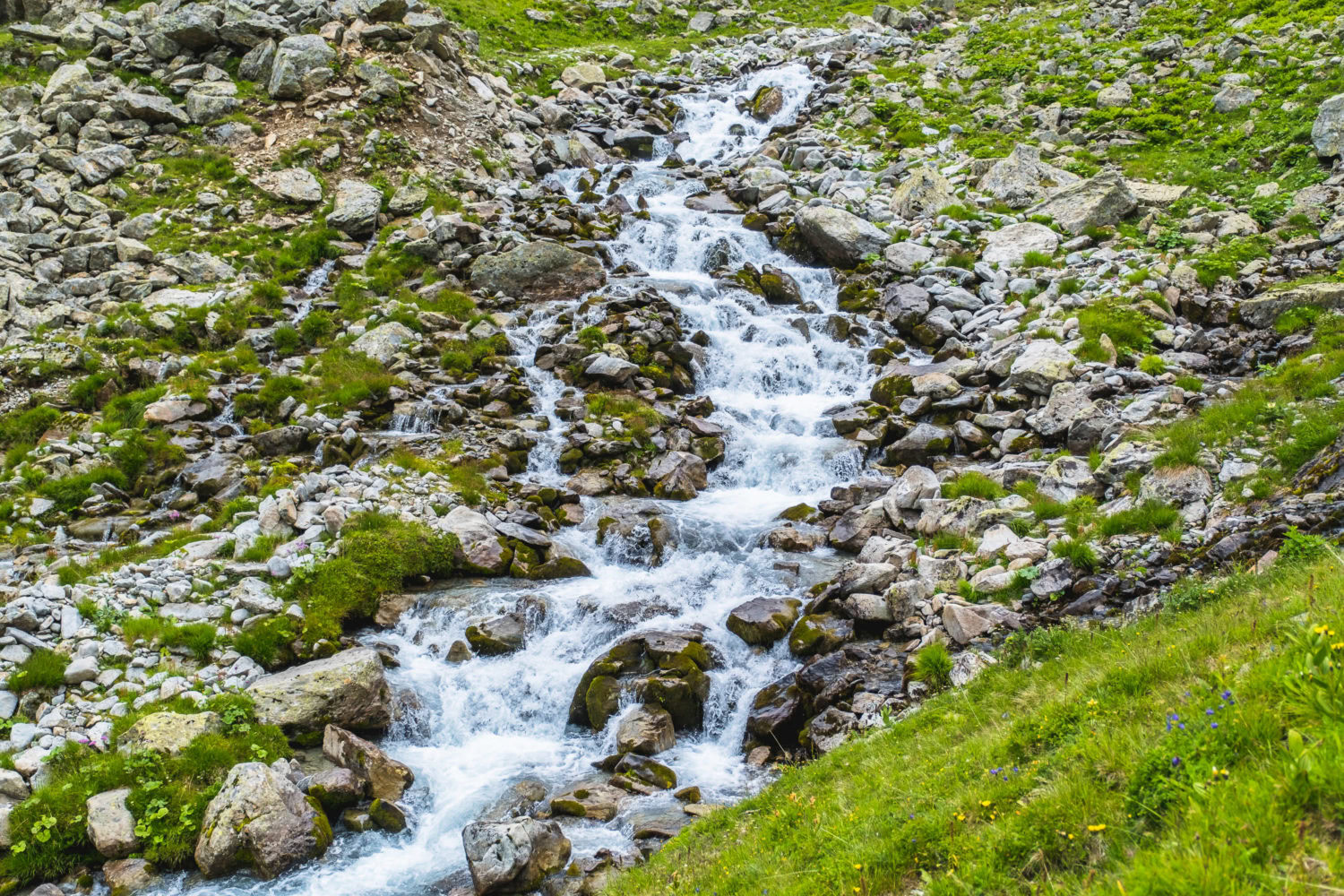 Bachlauf zwischen Steinen und Wiesen