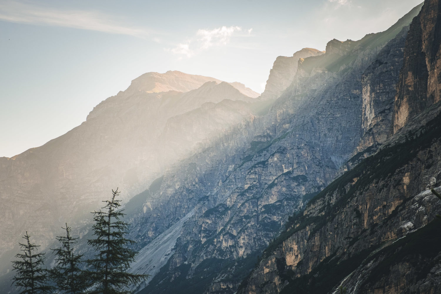 Morgenlicht fällt schräg über die Bergkuppe mit Tannen im Vor