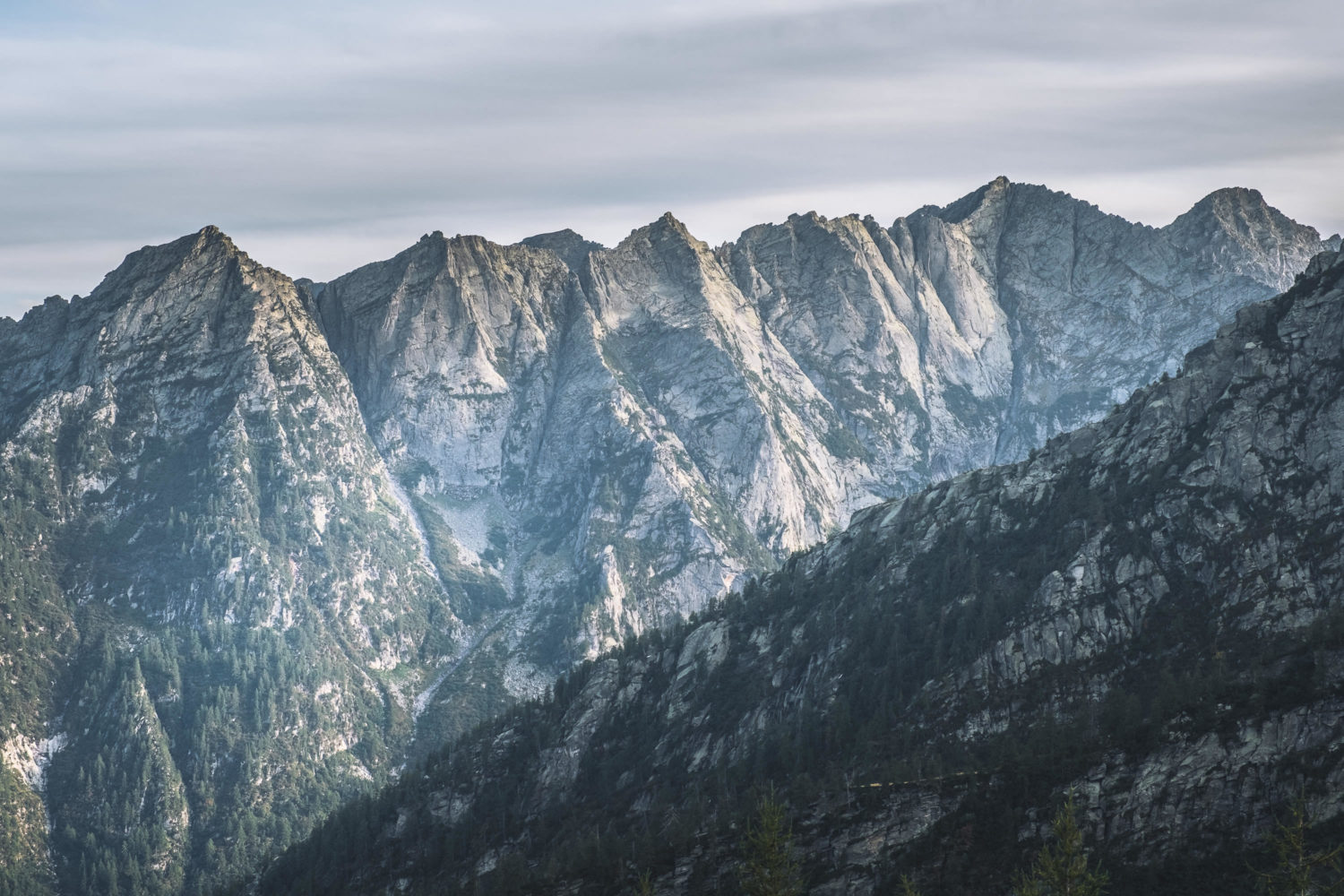 Bergkette mit weißem Gestein und vereinzeltem Baumbewuchs