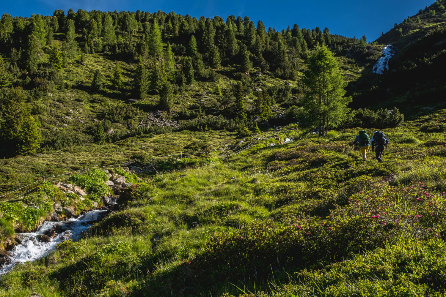 Zwei Wanderer gehen in einer Graslandschaft den Berg hinauf