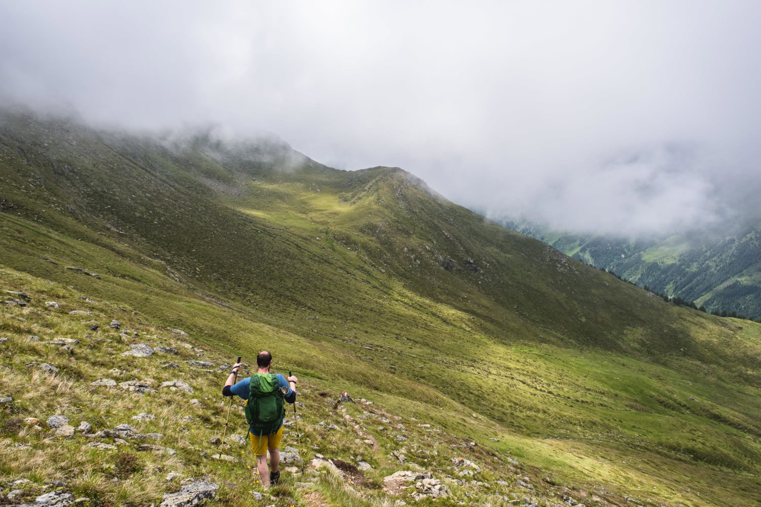 Wanderer mit Stöcken läuft durch Graslandschaft