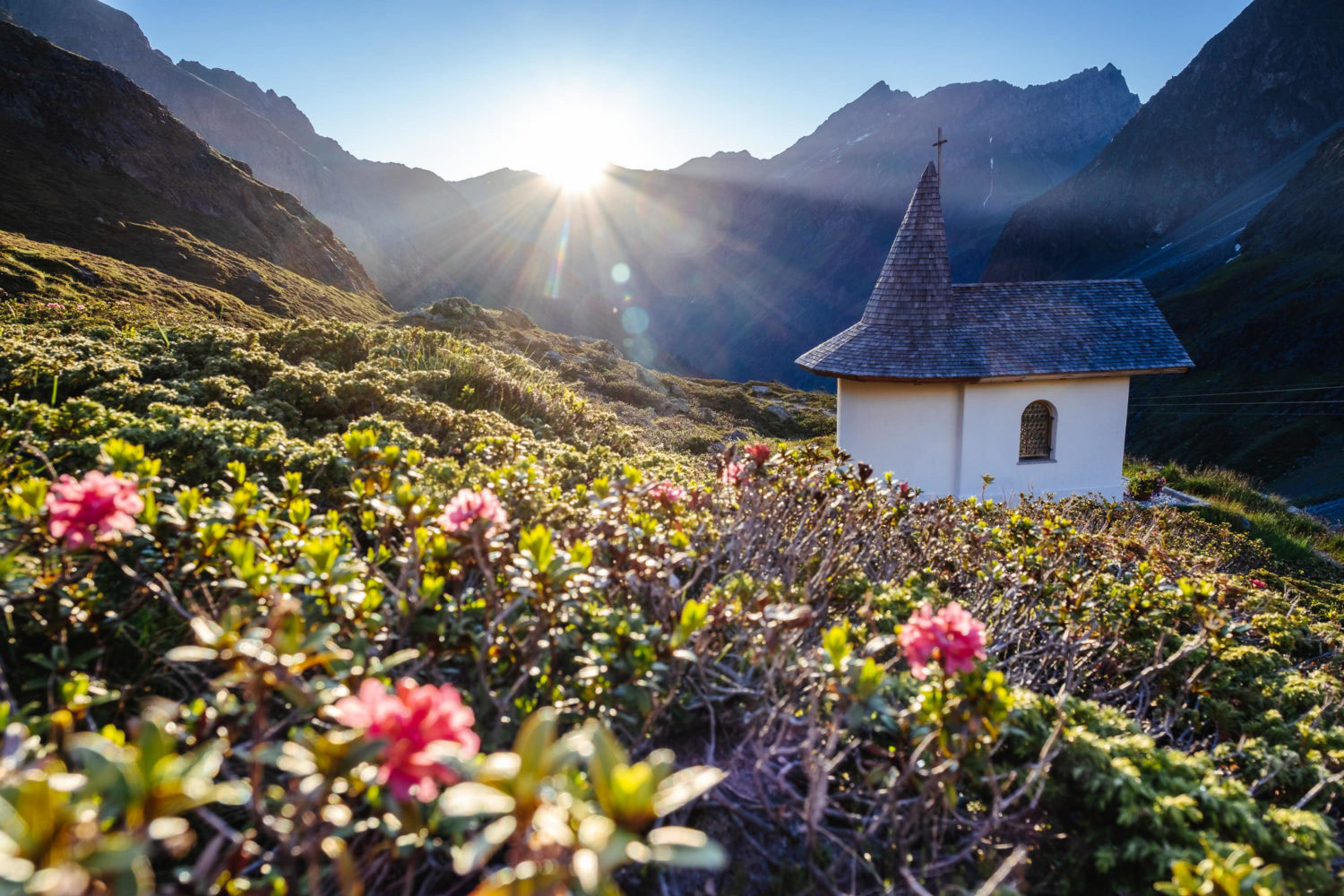 Alpenrose und Bergkapelle beim Sonnenaufgang