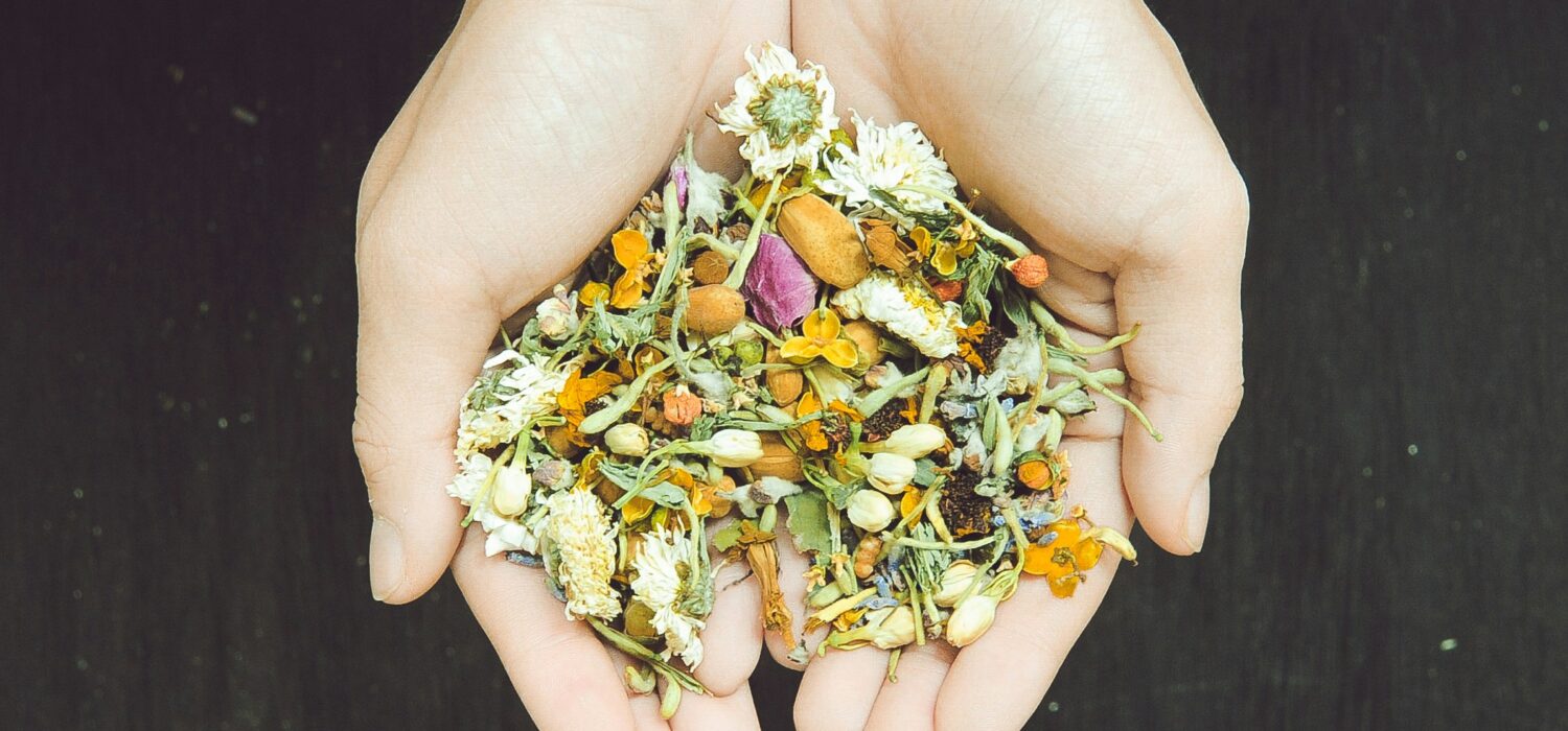 A person holding dried herbs in their hands against a natural background