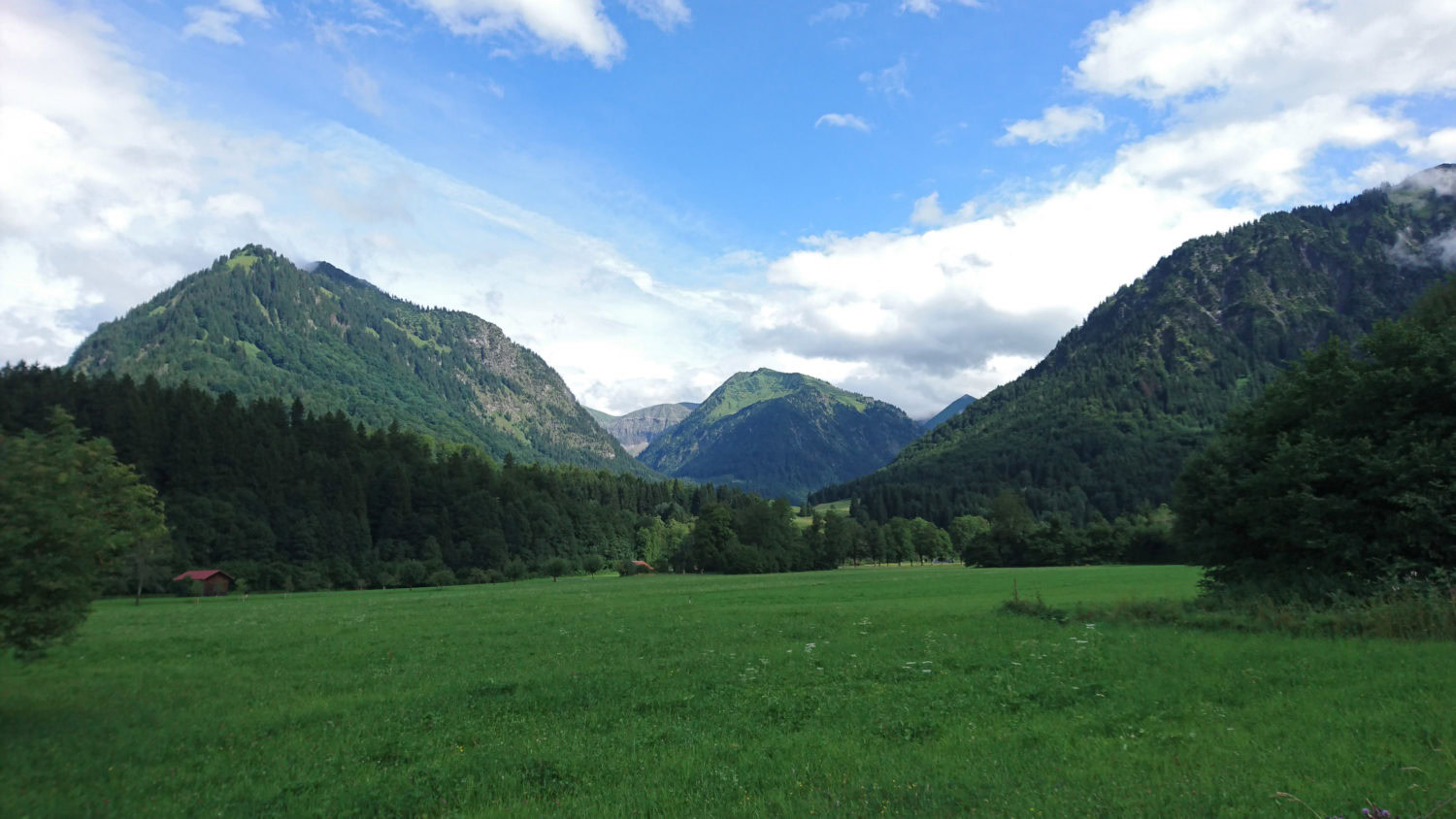 Grüne Wiese und Berghänge bei blauem Himmel