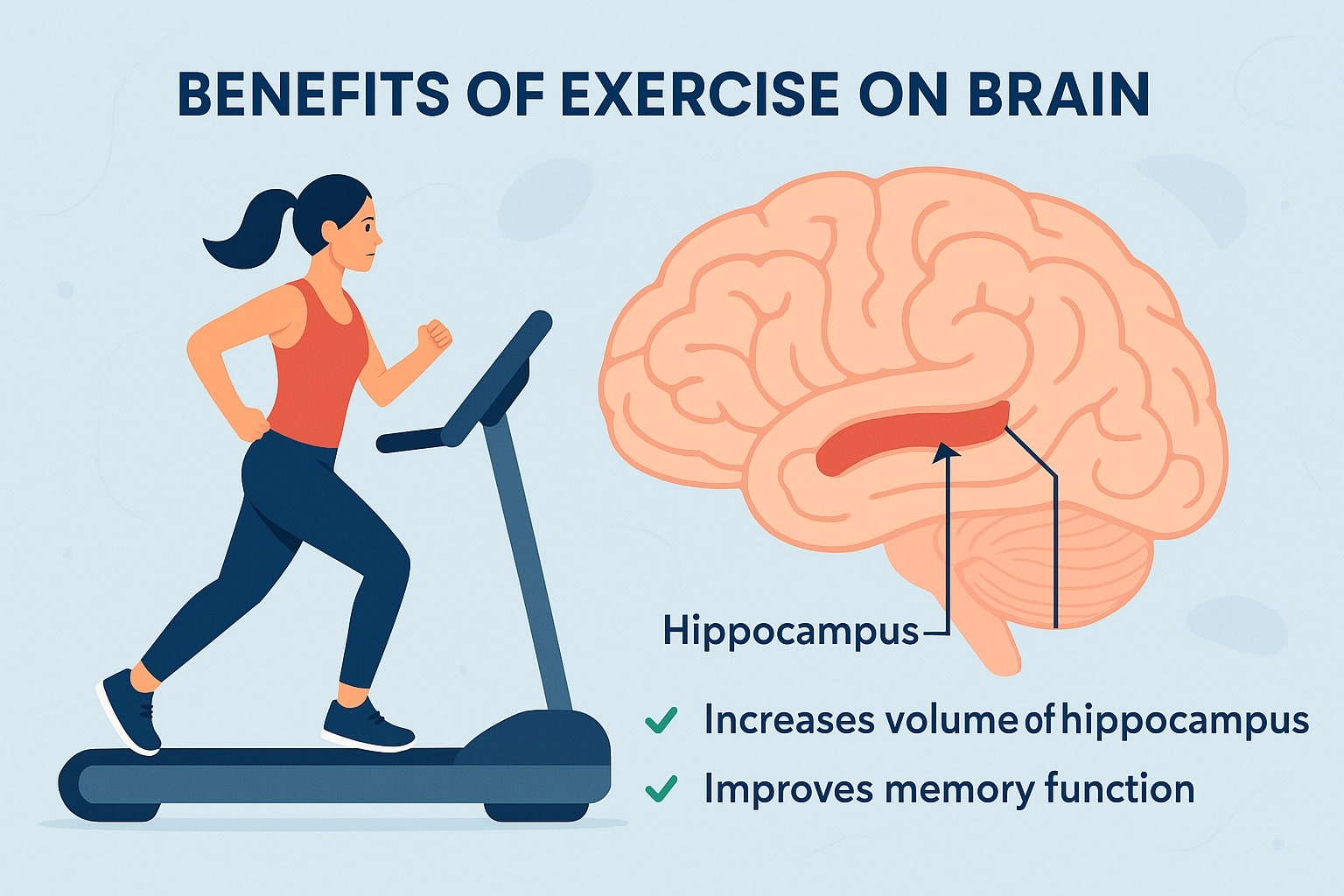 Boost Your Brain: How Exercise Protects Memory and Fights Dementia