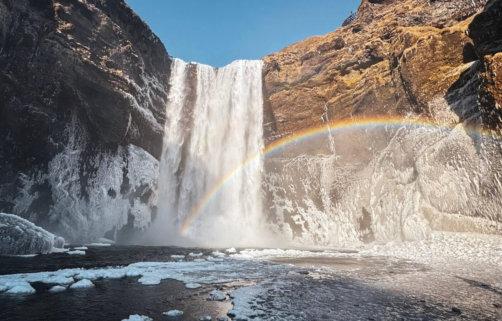 Skógafoss waterfall plunges dramatically over a steep cliff, surrounded by icy rock formations. A vibrant rainbow arcs through the mist, adding a magical touch to the powerful cascade. The dark, rugged cliffs contrast with patches of golden grass, while chunks of ice float on the river below, highlighting the wintery conditions. Bright sunlight and a clear blue sky complete the breathtaking scene.
