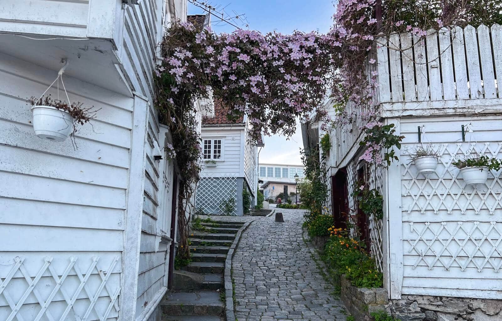 5 days in Stavanger - header image