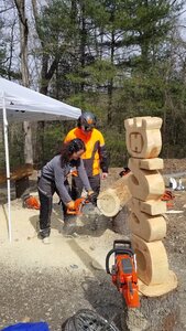 professional chainsaws