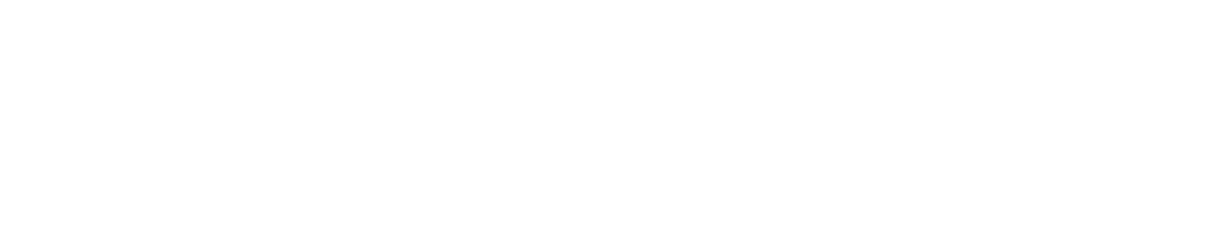 Business Entity Search