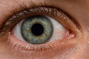 See but do not see