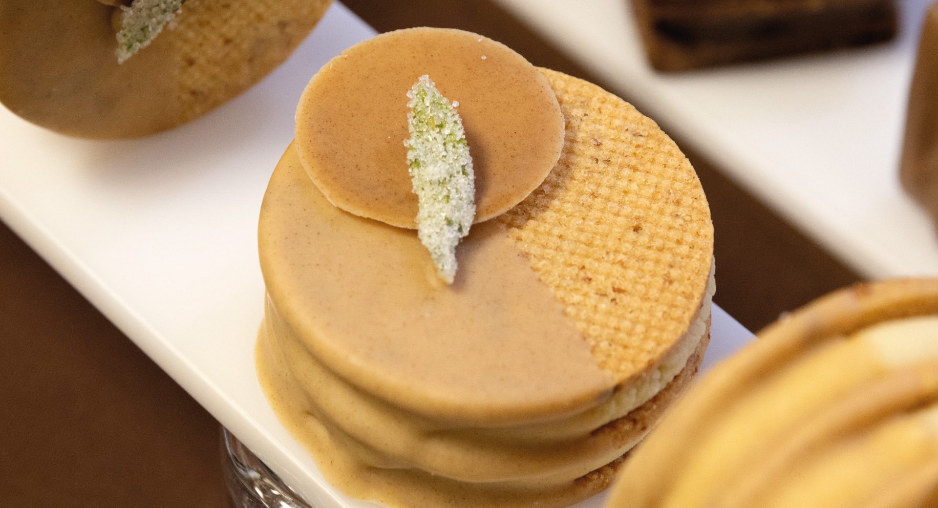 Evento: Maracake 2024