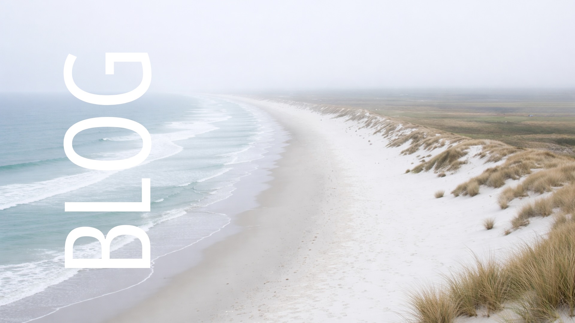 Neues Jahr, neue Klarheit: Warum Führung bei Dir selbst beginnt | Praxislotsin | Birthe Gerlach