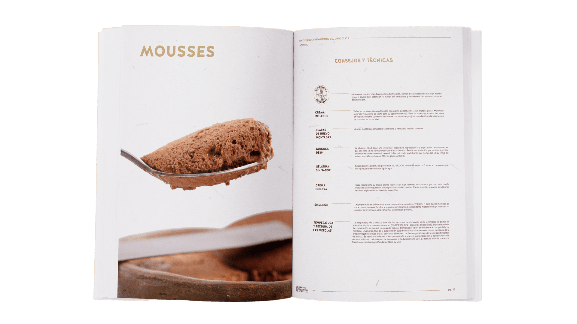 Cacao Talks: Why be a B Company? - 1