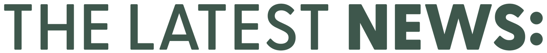 Text graphic reading “The Latest News” – header image for Breadroot Co-op’s news and blog section featuring community stories, updates, and co-op events.