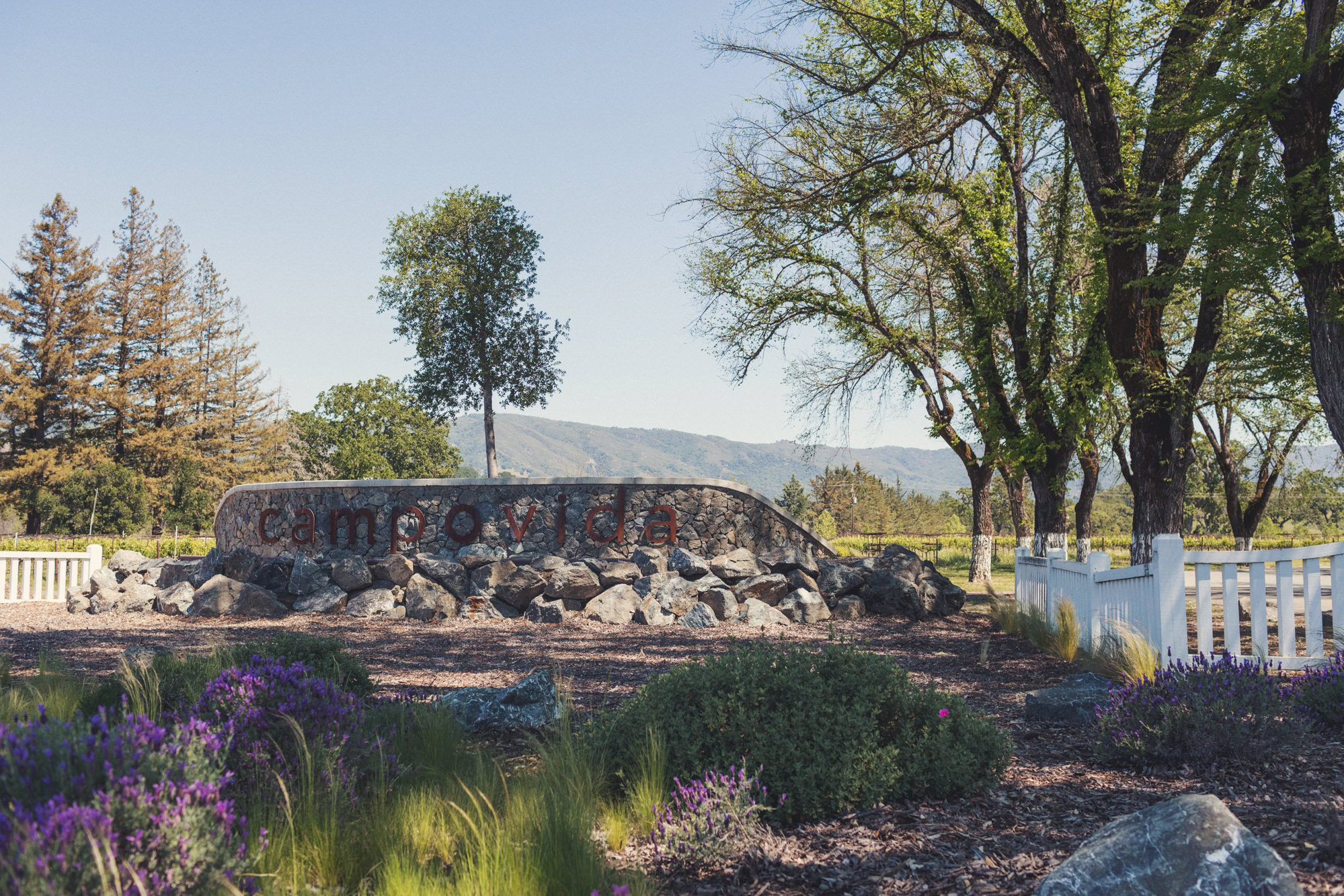 Wedding in Campovida @Anne-Claire Brun 01