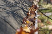 fissure-mur-humide-devis-salpetre-gouttiere-lannion-perros-guirec-tregastel-trebeurden