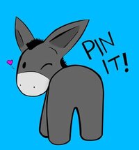 pin-it