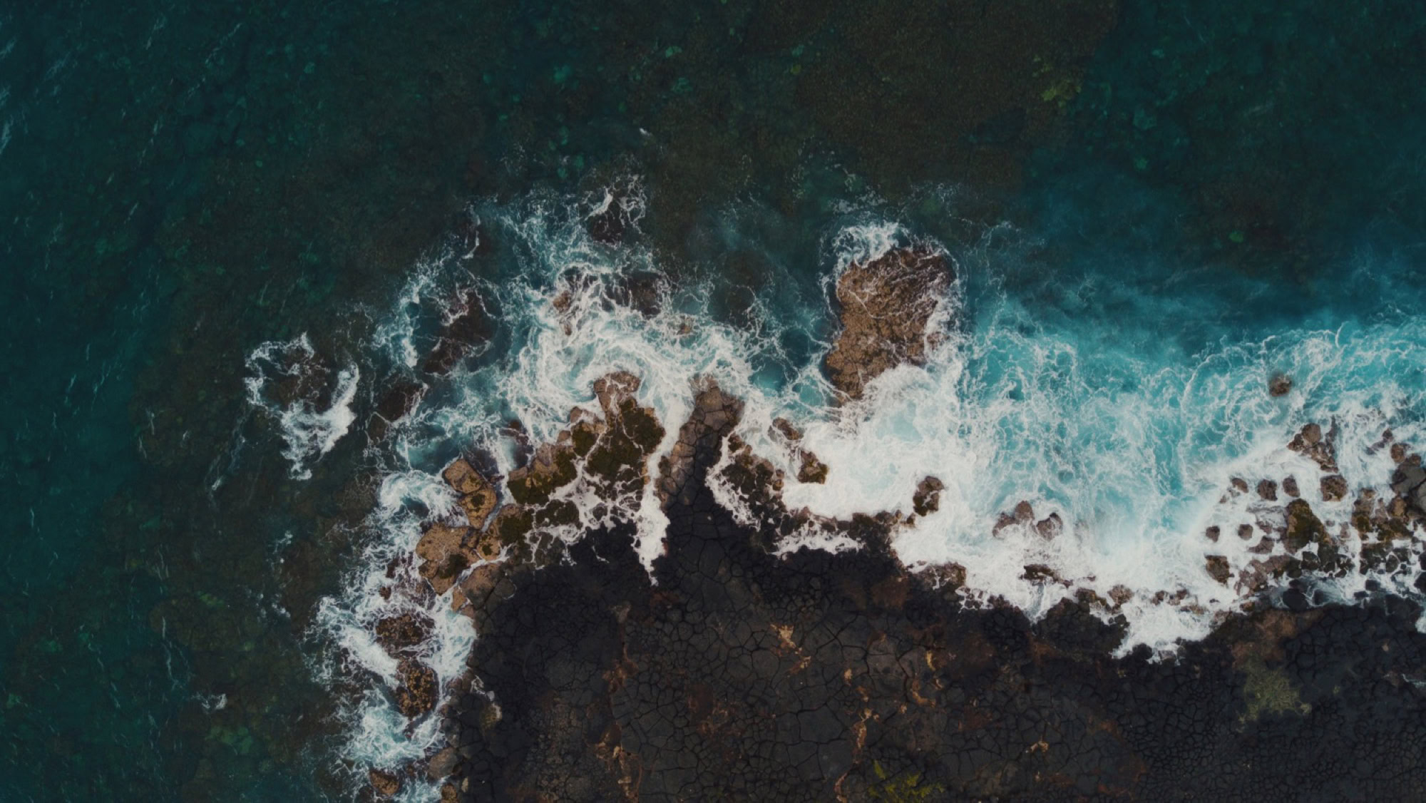 Kekaha Harbor House Wedding Kauai Wedding Photographer