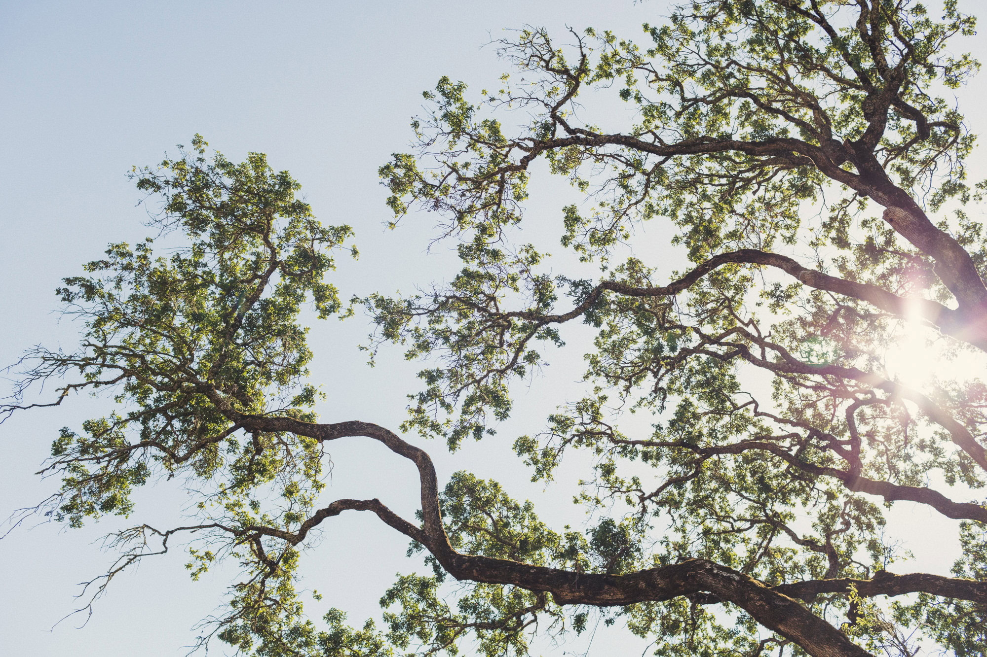 Wedding in Campovida @Anne-Claire Brun 04