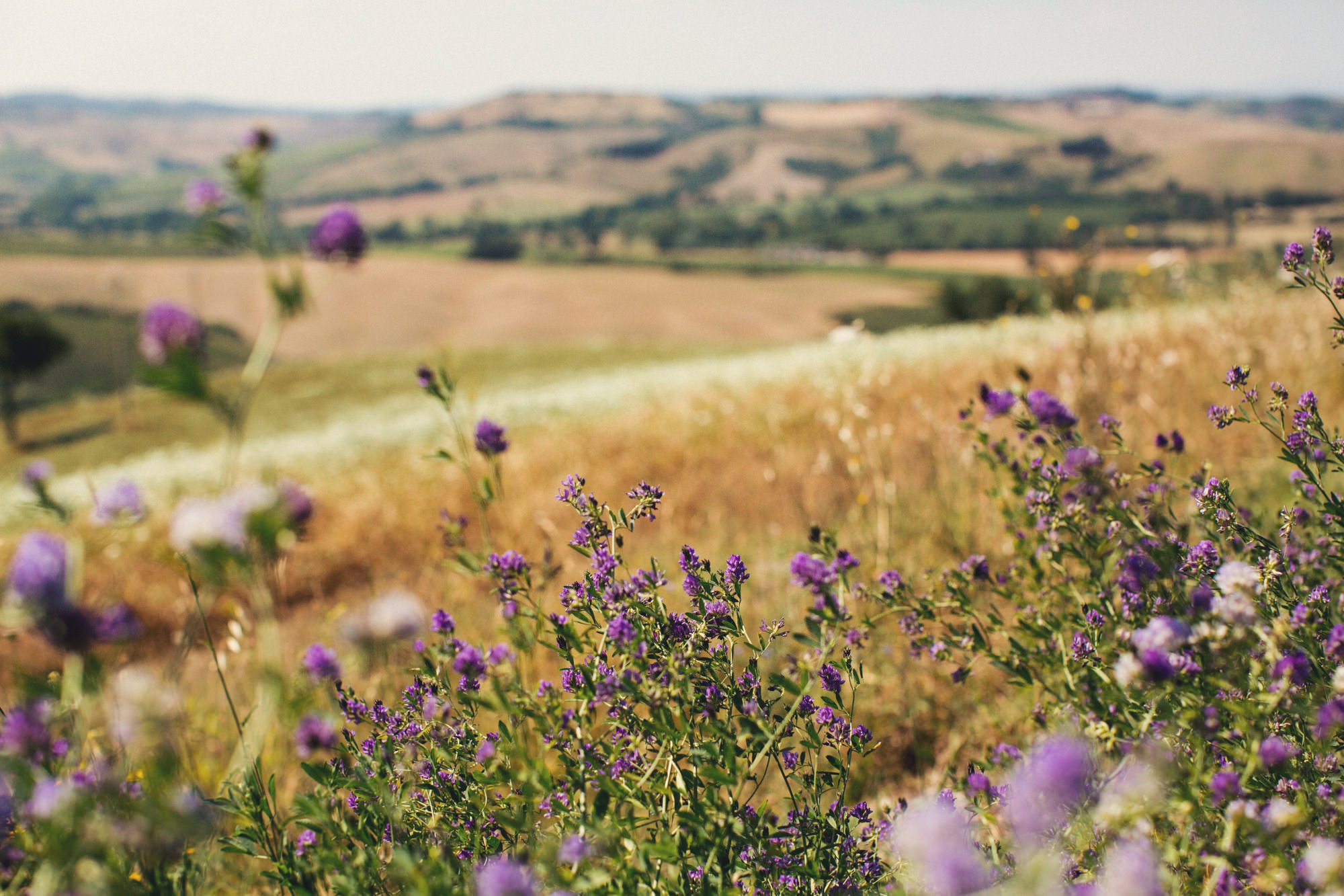 Italy Wedding Photographer ©Anne-Claire Brun 77