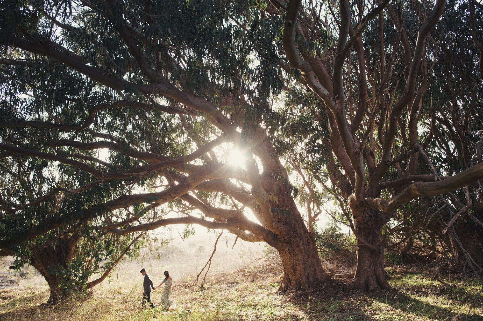 outdoors wedding photographer