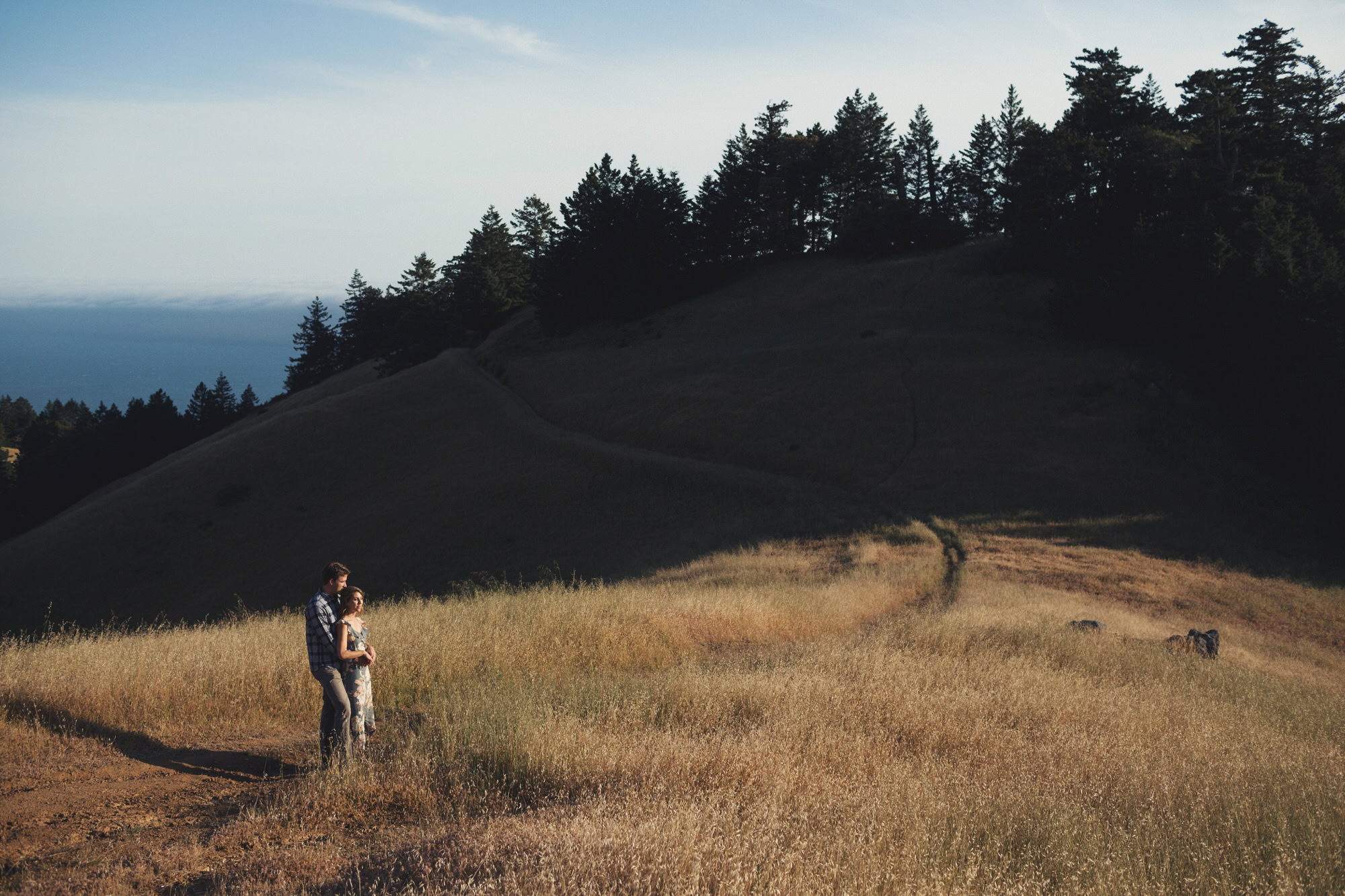 Mt Tamalpais Engagement Photos