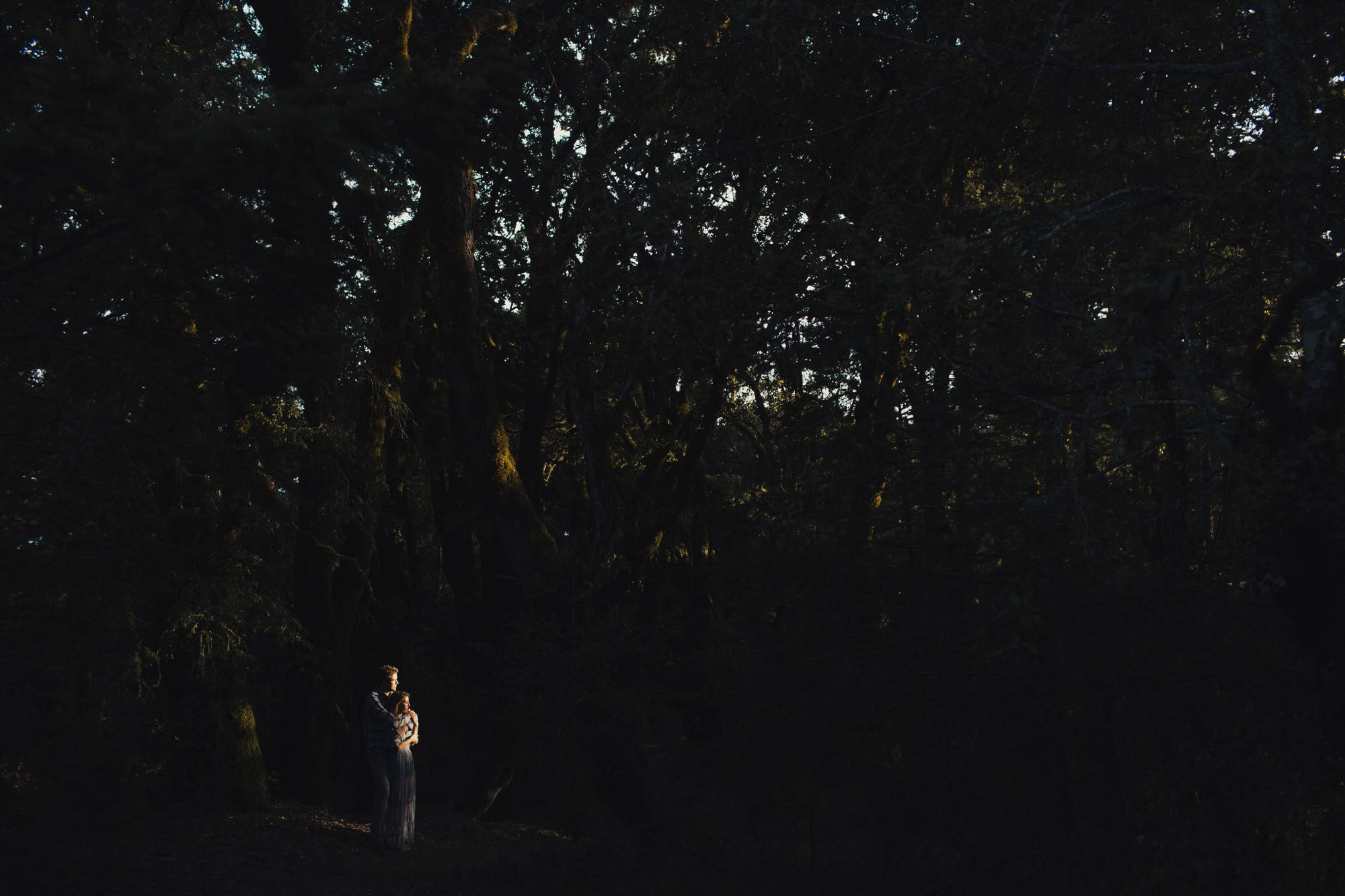 Forrest Engagement Photos