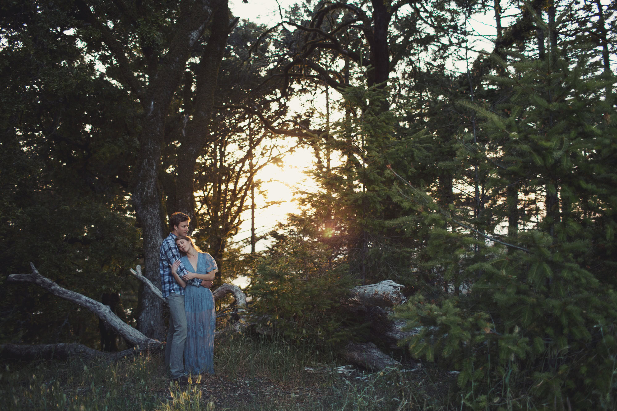 Wood Engagement Photos 