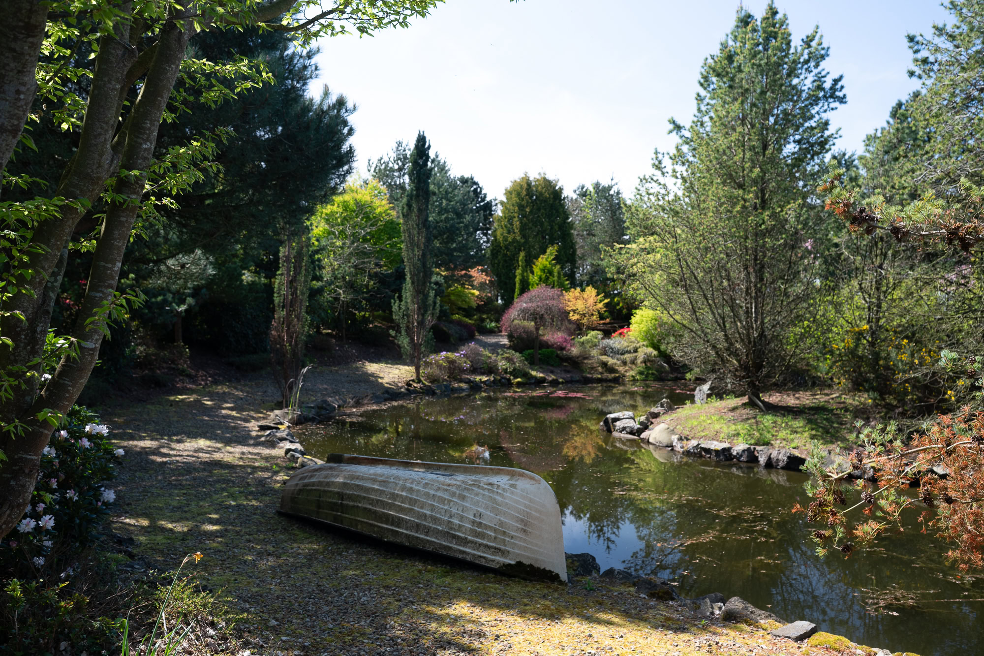 Landscaped Japanese-style garden surrounding a residential property