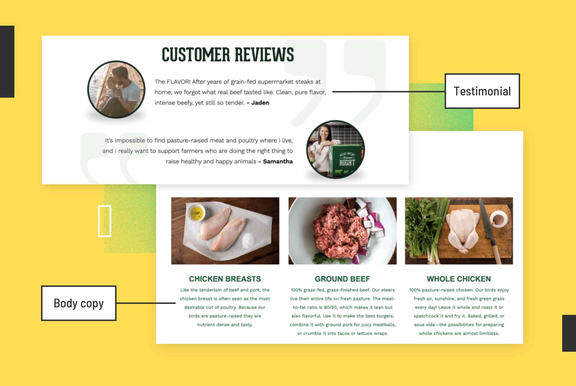 Desktop Image-Social proof stand out-Design Pillar