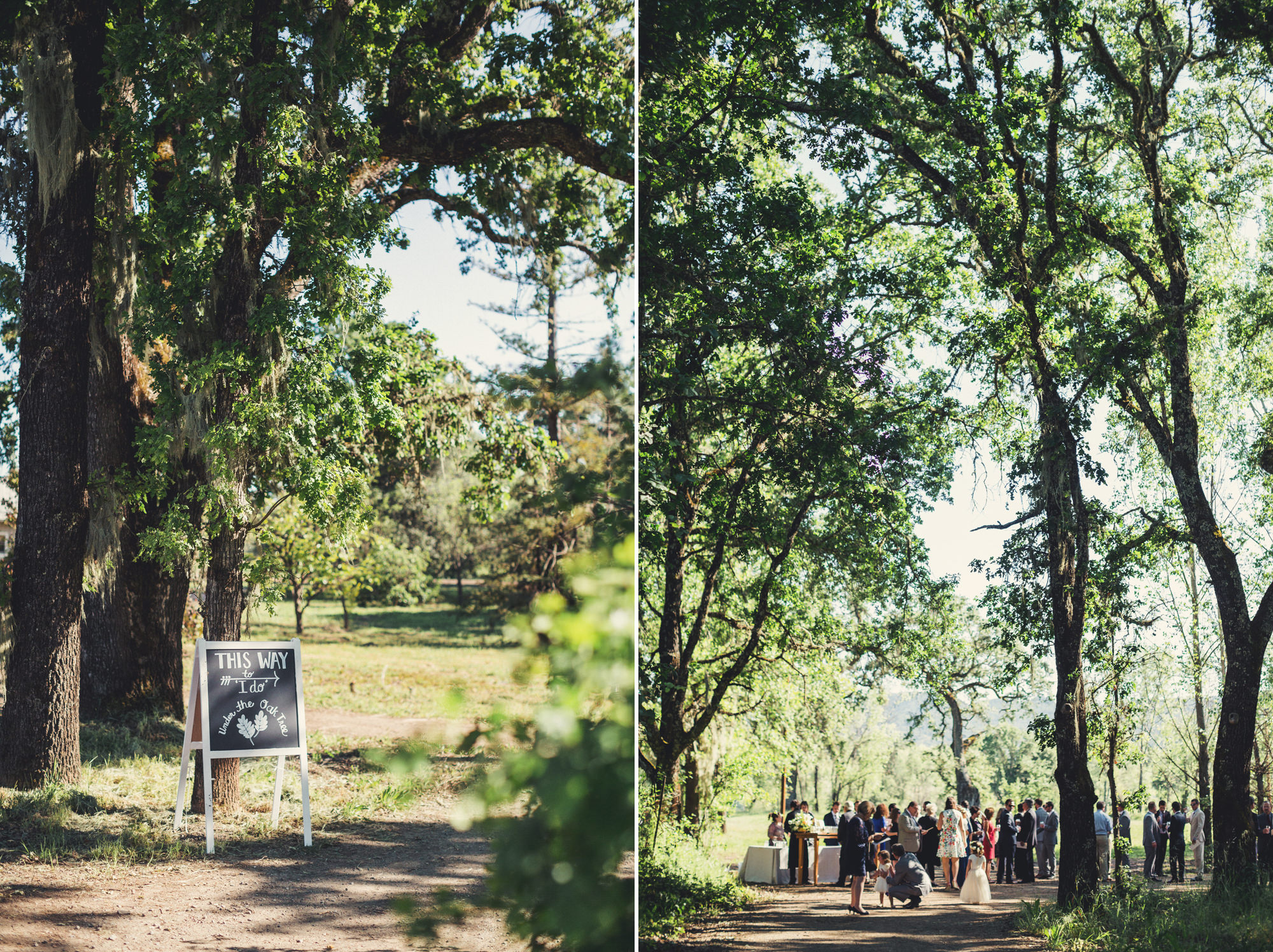 Wedding in Campovida @Anne-Claire Brun 51