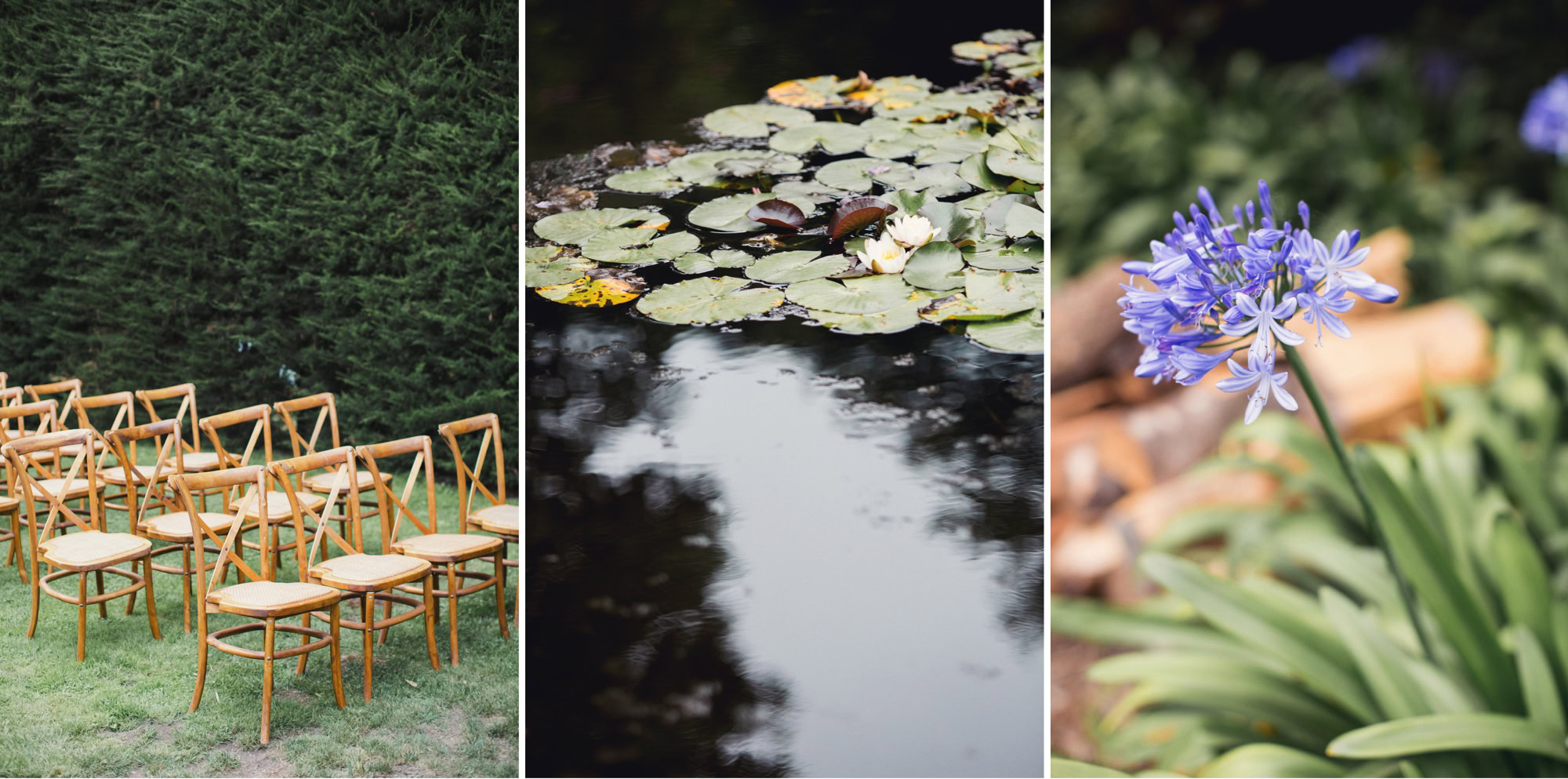 stinson beach wedding