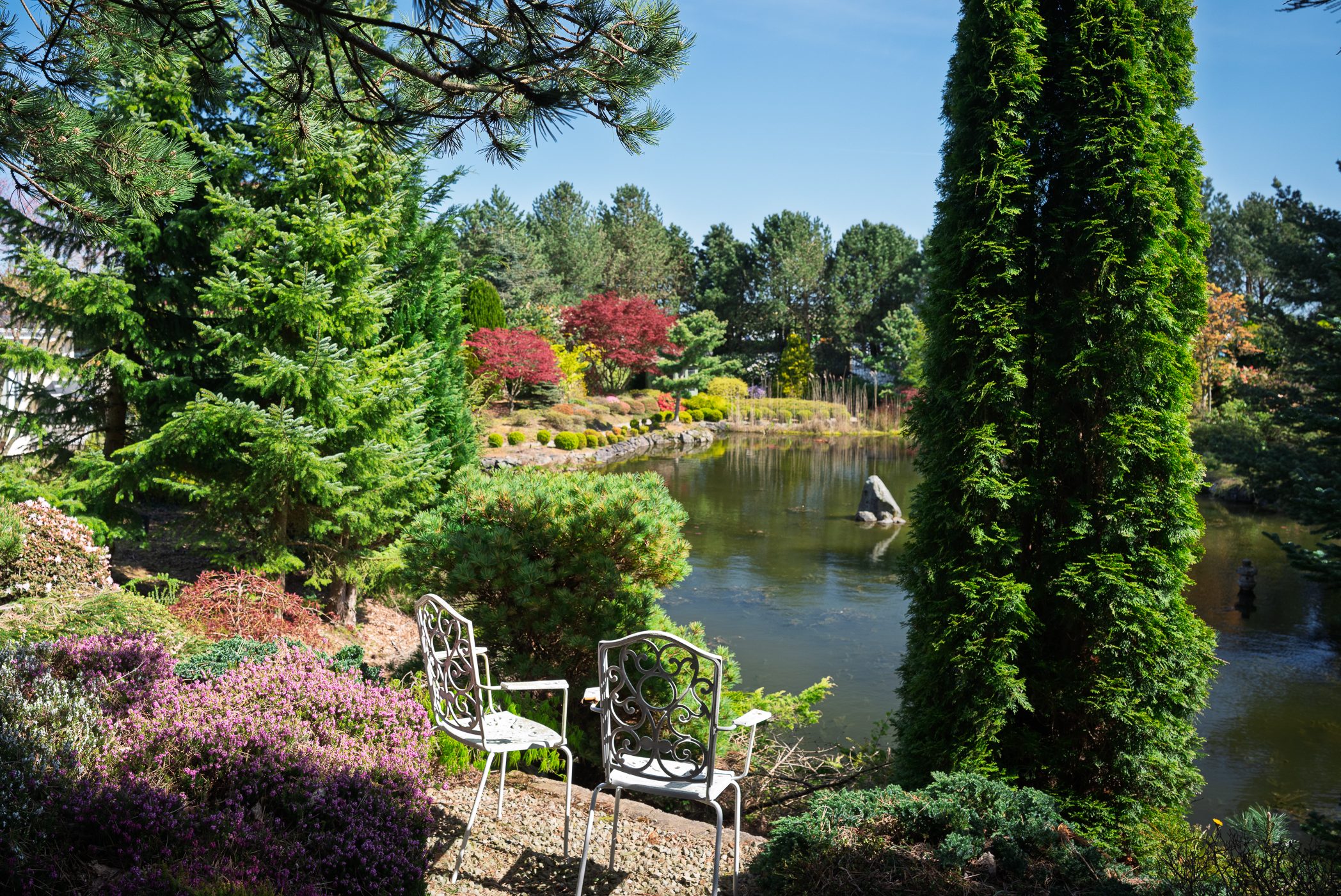 Landscaped Japanese-style garden surrounding a residential property