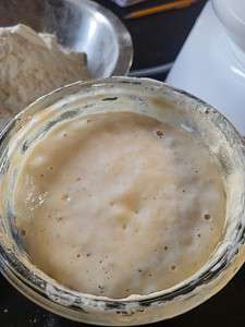 levain