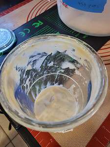 sourdough starter