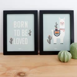 poster set lama old green