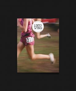 Issue 49 of Like the Wind Running Magazine