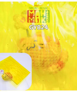 GYB24