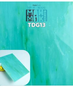 TDG13