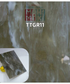 TTGR11