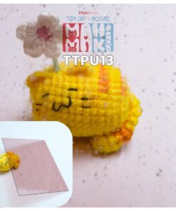 TTPu13