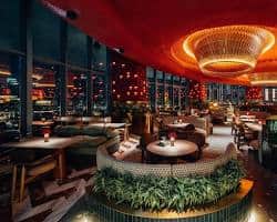 شيشة ومشروبات في مقاهي مول الإمارات