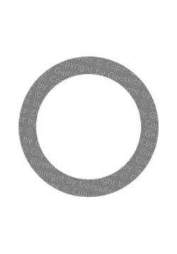 DELLORTO - SI Benzinbanjodichtung 16x12x1 und 10x6x1