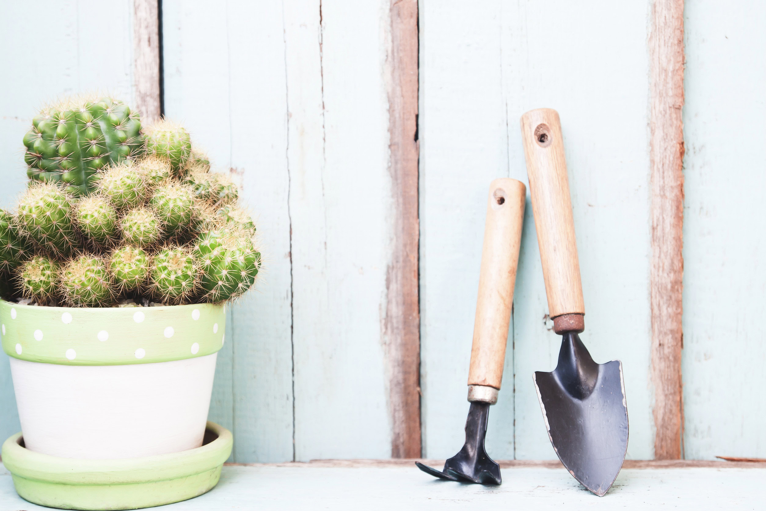 There are many garden tools you didn't know you already own. 
