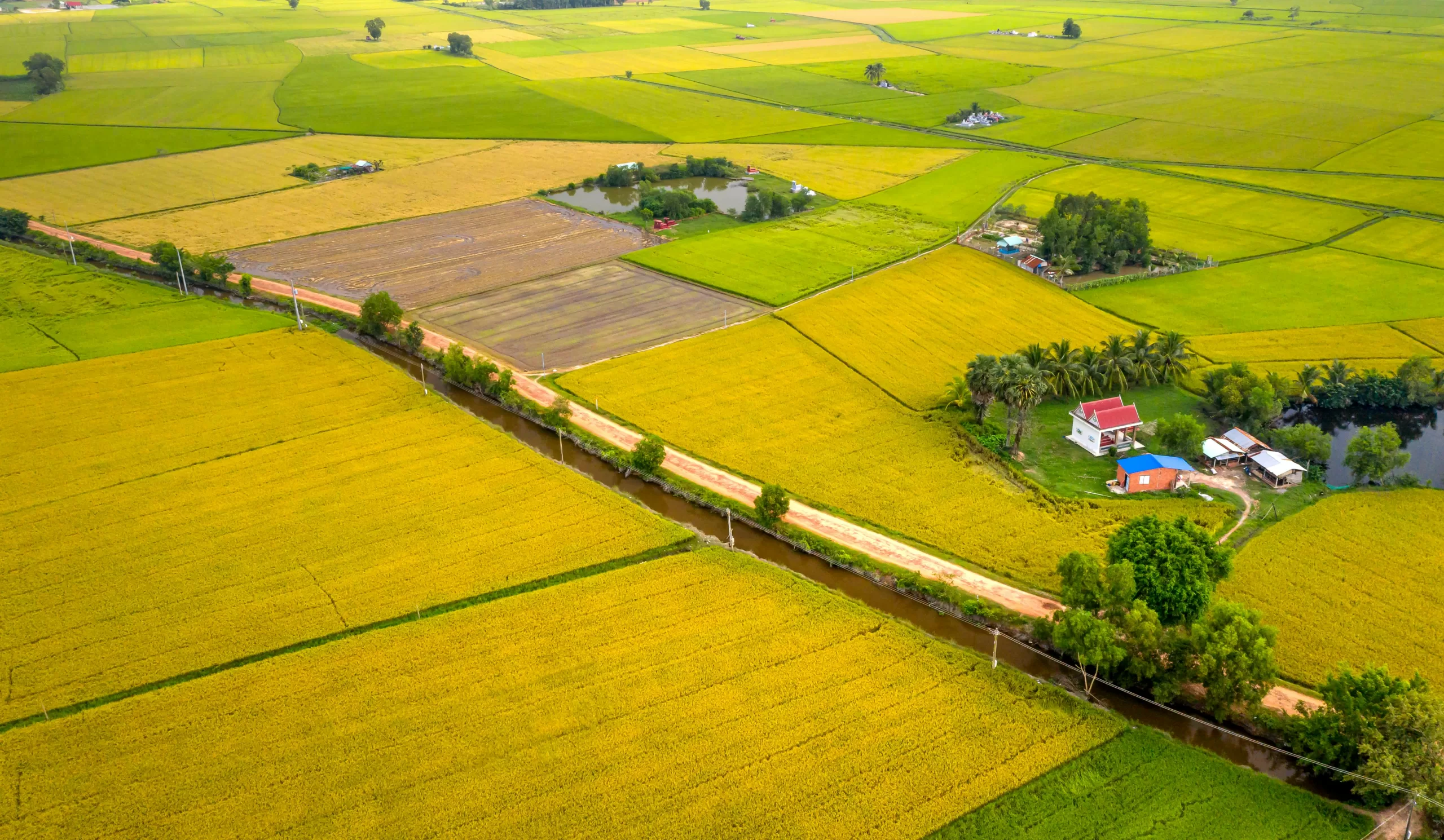 Sustainable food and land use practices supporting global food security.