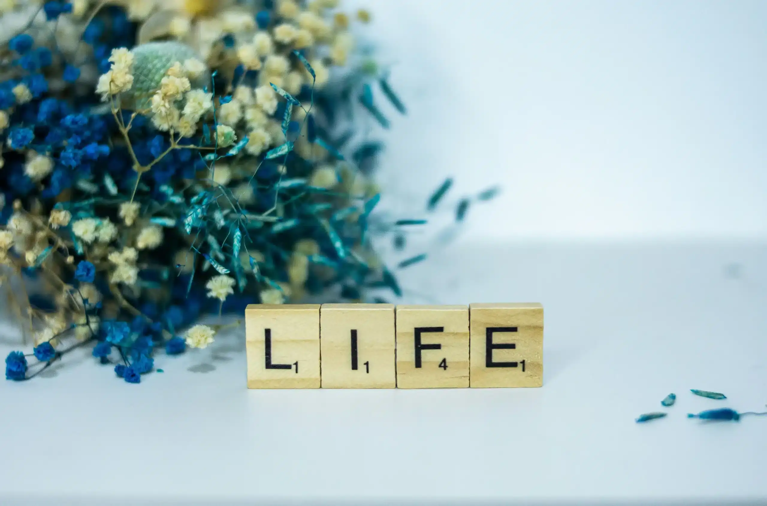 Life Update