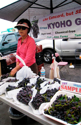 steal-a-grape-sample