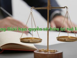 Giới hạn quyền sở hữu trí tuệ là gì?